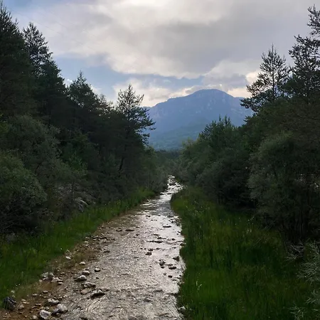 Casa Cal Gansoleta Holiday home